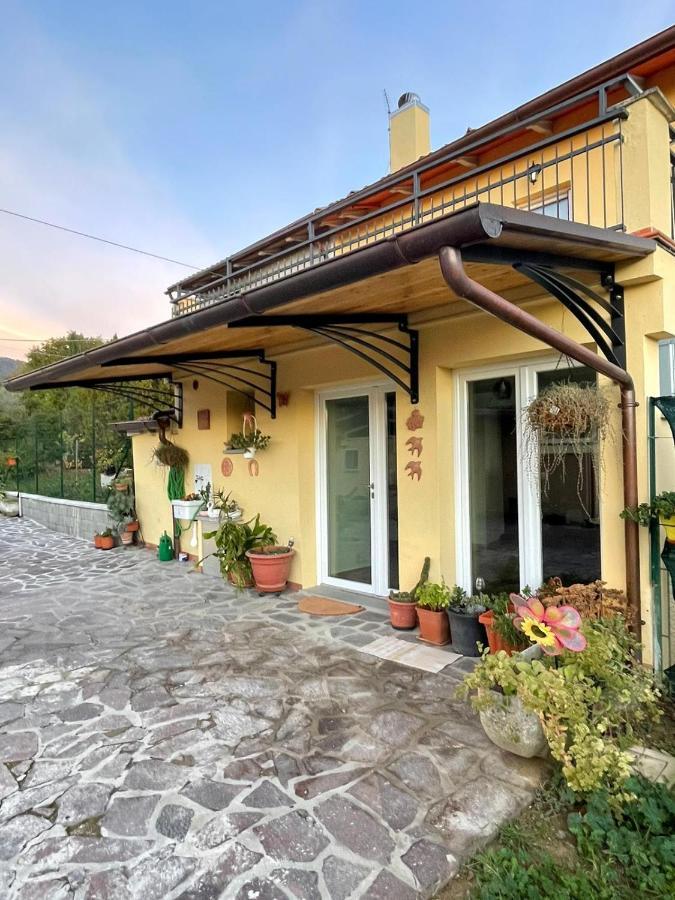 Villa Sassaia11 Arezzo Exterior foto